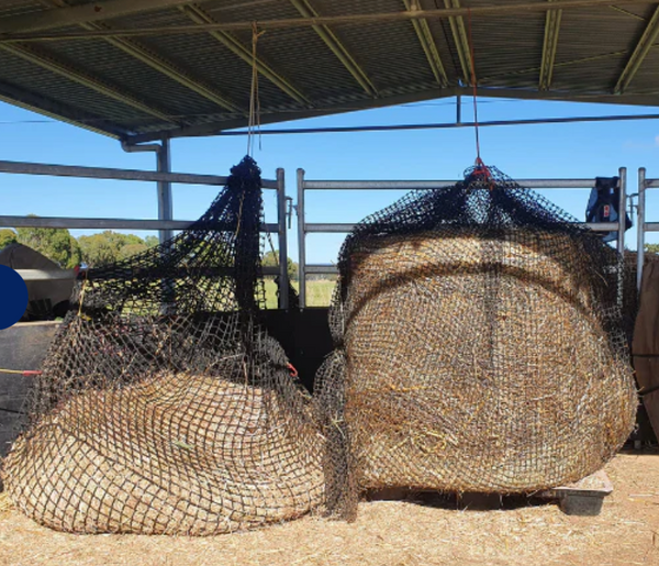 GutzBusta KNOTLESS Slow Feed Hay Net : Horse